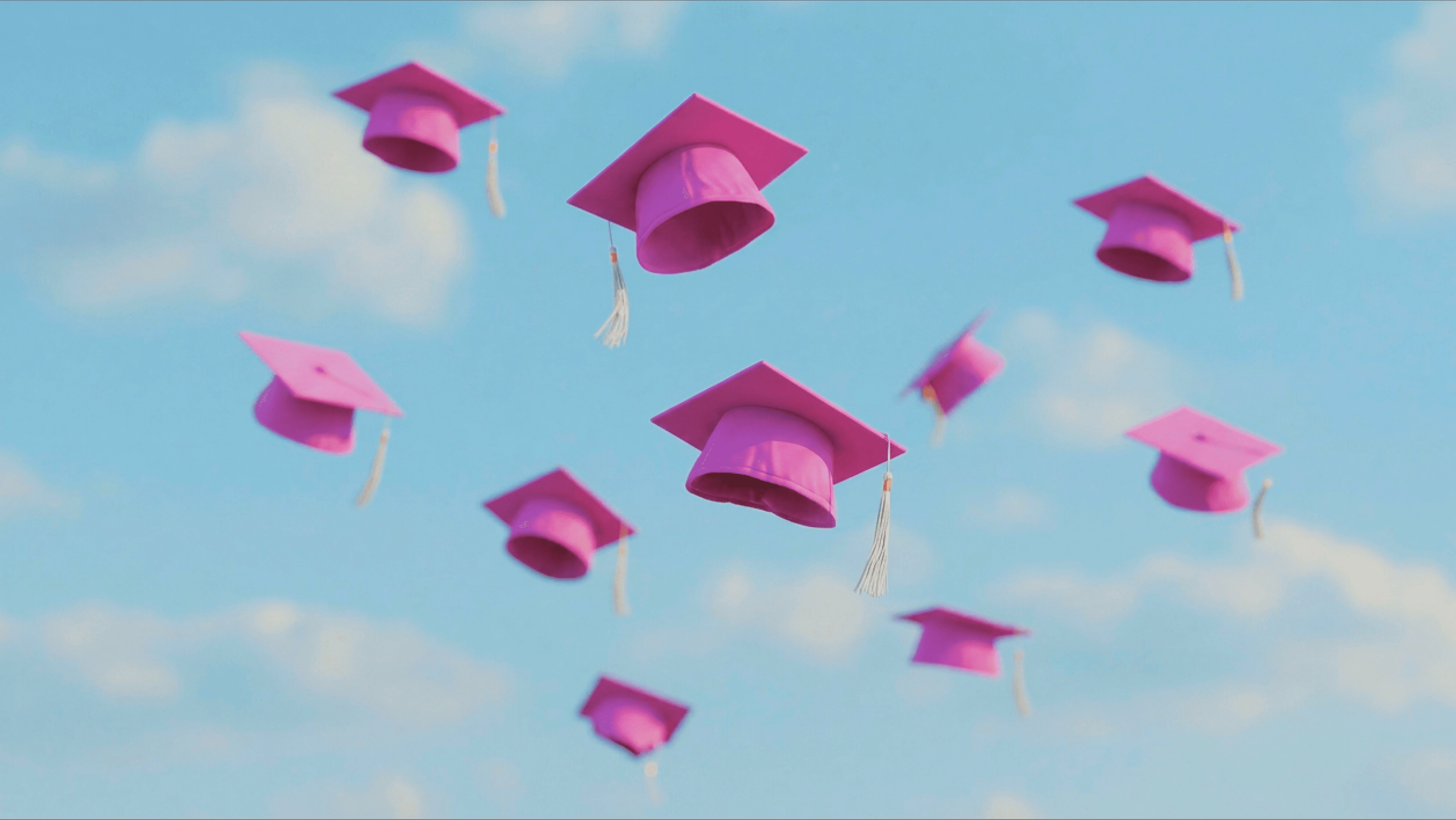Rethinking customer education for B2Bs in 2026 with video